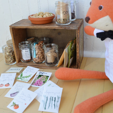 Reginald Fox and his seed collection